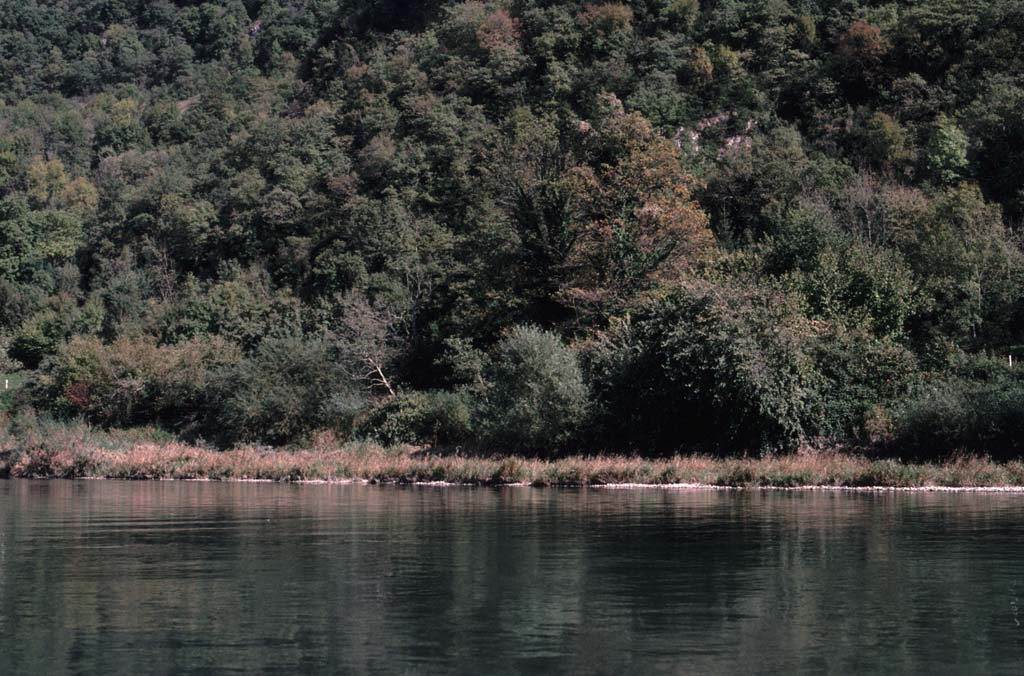 20001007_jn25vsjl80.jpg